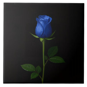Schwarze 4 Luxe-Fliese mit Midnight Blue Rose Fliese