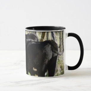 Schwarze Angus-Färsen-Kälber Tasse