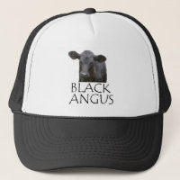 Schwarze Angus-Kuh