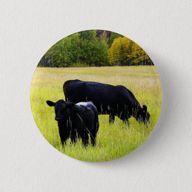 Schwarze Angus-Paare auf dem Gebiet Button (Vorderseite)