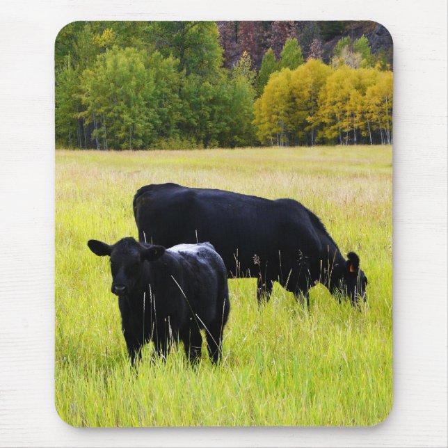 Schwarze Angus-Paare auf dem Gebiet Mousepad (Vorne)
