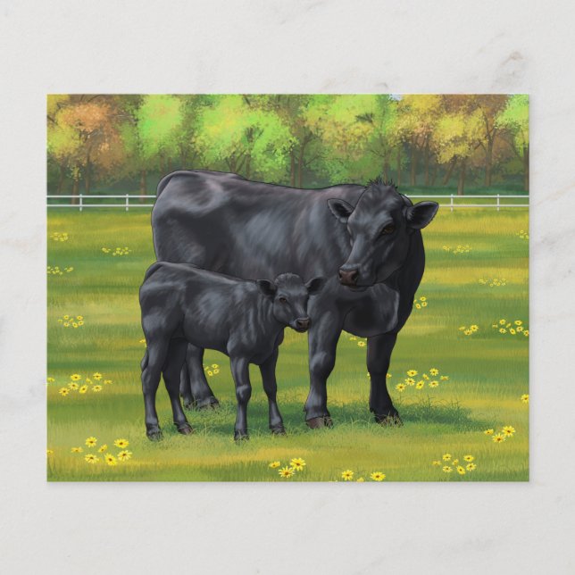 Schwarze Anguskühe und Niedliches Kalb im Sommerwe (Vorderseite)