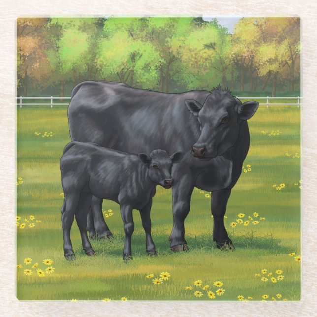 Schwarze Anguskühe und Niedliches Kalb im Sommerwe Glasuntersetzer (Vorderseite)