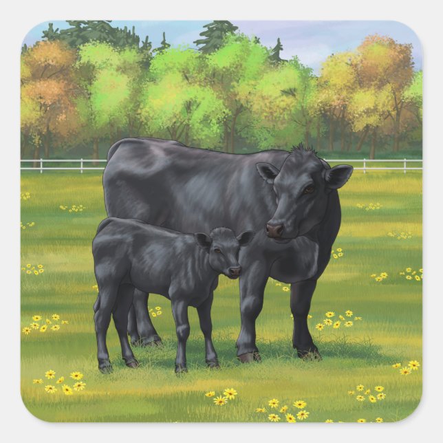 Schwarze Anguskühe und Niedliches Kalb im Sommerwe Quadratischer Aufkleber (Vorderseite)