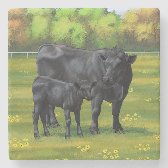 Schwarze Anguskühe und Niedliches Kalb im Sommerwe Steinuntersetzer (Vorderseite)