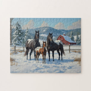 Schwarze Appaloosa Pferde auf einem Bauernhof im W