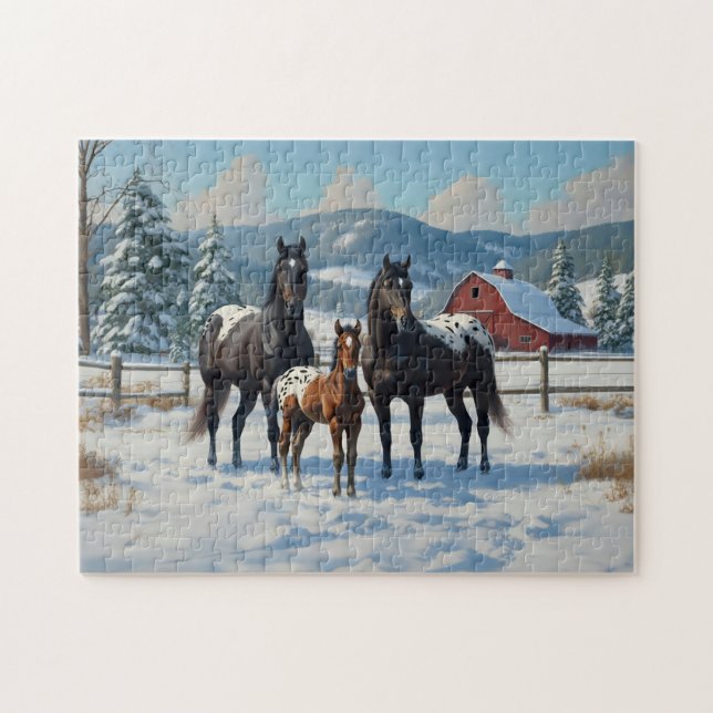 Schwarze Appaloosa Pferde auf einem Bauernhof im W (Horizontal)