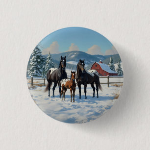 Schwarze Appaloosa Pferde auf einem Bauernhof im W Button