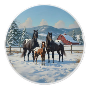 Schwarze Appaloosa Pferde auf einem Bauernhof im W Keramikknauf
