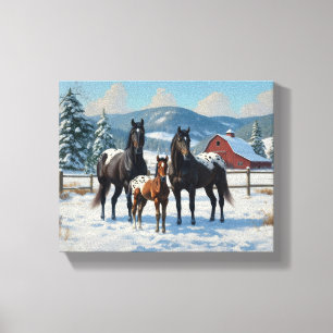 Schwarze Appaloosa Pferde auf einem Bauernhof im W Leinwanddruck
