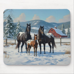 Schwarze Appaloosa Pferde auf einem Bauernhof im W Mousepad