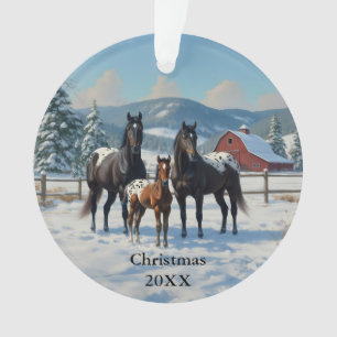 Schwarze Appaloosa Pferde auf einem Bauernhof im W Ornament
