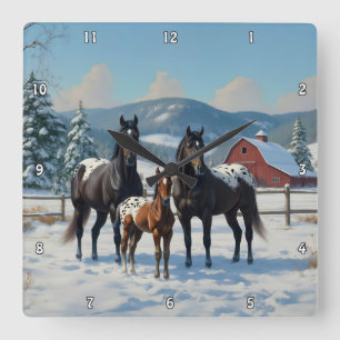 Schwarze Appaloosa Pferde auf einem Bauernhof im W Quadratische Wanduhr