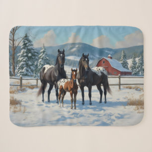 Schwarze Appaloosa Pferde auf einem Bauernhof im W Sherpadecke
