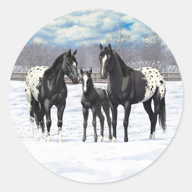 Schwarze Appaloosa Pferde im Schnee Runder Aufkleber (Vorderseite)