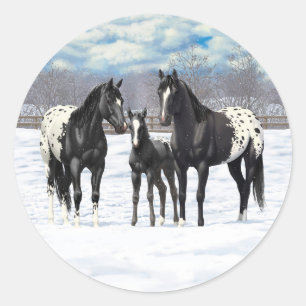 Schwarze Appaloosa Pferde im Schnee Runder Aufkleber