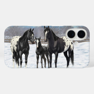 Schwarze Appaloosa Pferde im Schnee title_seo2