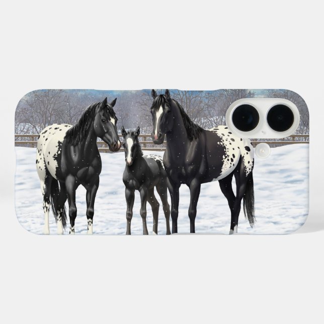 Schwarze Appaloosa Pferde im Schnee title_seo2 (Rückseite (Horizontal))