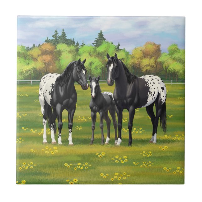 Schwarze Appaloosa Pferde im Sommer Weide Fliese (Vorderseite)