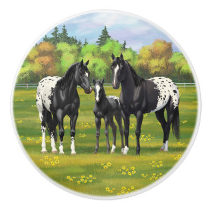 Schwarze Appaloosa Pferde im Sommer Weide Keramikknauf