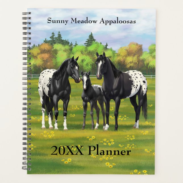 Schwarze Appaloosa Pferde im Sommer Weide Planer (Vorderseite)