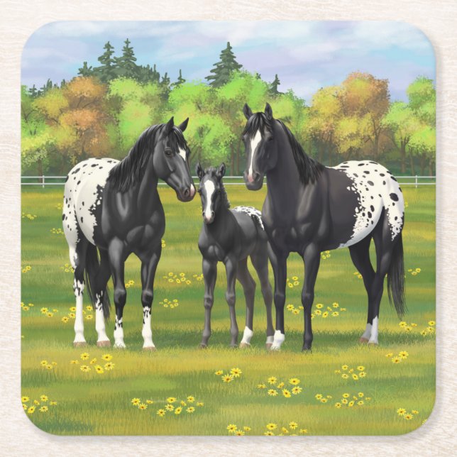 Schwarze Appaloosa Pferde im Sommer Weide Rechteckiger Pappuntersetzer (Vorderseite)