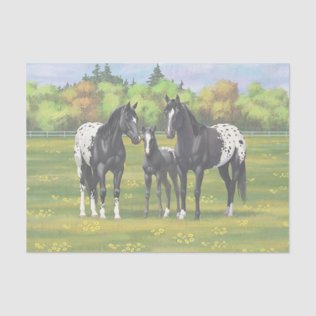 Schwarze Appaloosa Pferde im Sommer Weide Seidenpapier (Vorderseite)