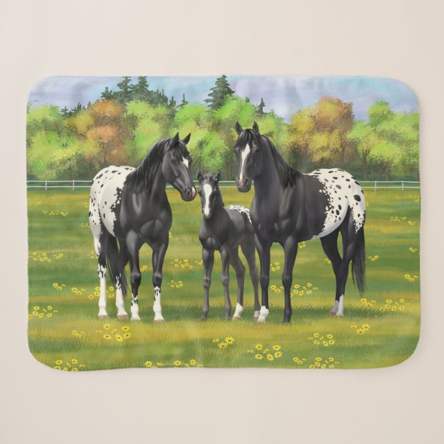 Schwarze Appaloosa Pferde im Sommer Weide Sherpadecke (Vorderseite (Horizontal))