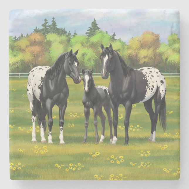 Schwarze Appaloosa Pferde im Sommer Weide Steinuntersetzer (Vorderseite)