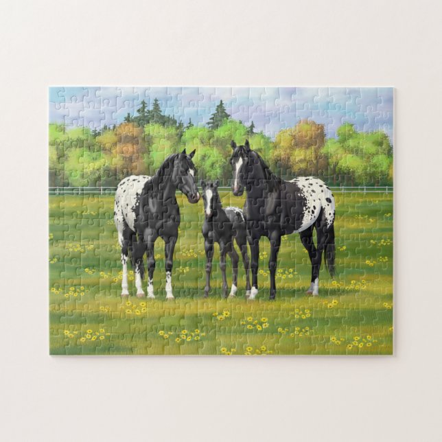 Schwarze Appaloosa Pferde im Sommerweide (Horizontal)
