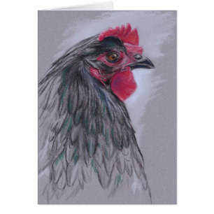 Schwarze Australorp Henne
