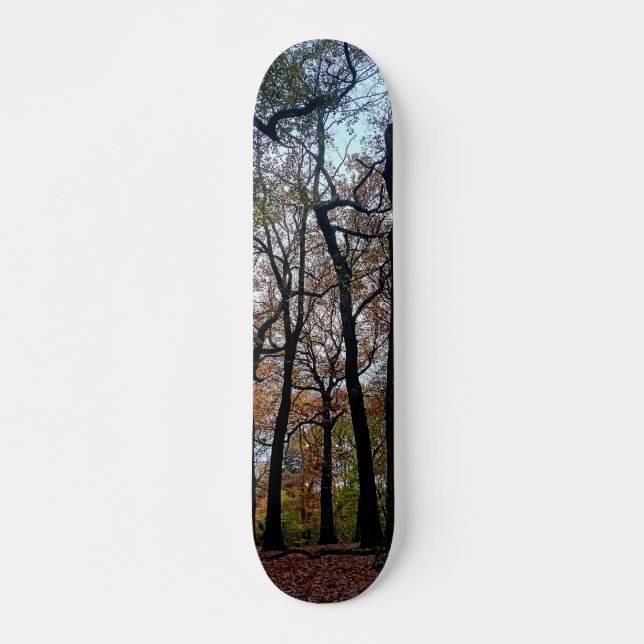 Schwarze Bäume, im Wald Skateboard (Vorne)