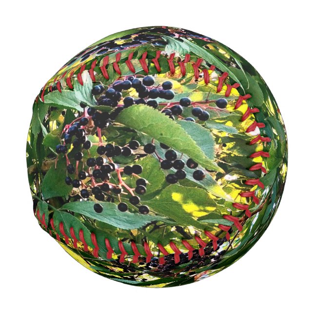 Schwarze Beeren Baseball (Vorne Rechts)