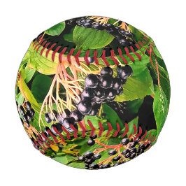 Schwarze Beeren Baseball