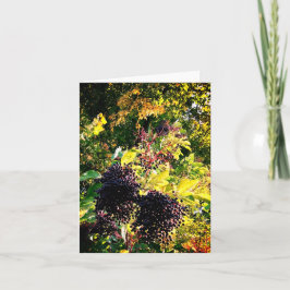 Schwarze Beeren Karte