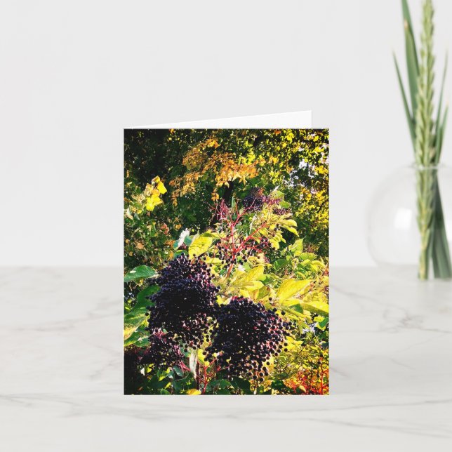 Schwarze Beeren Karte (Vorderseite)