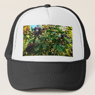 Schwarze Beeren Truckerkappe