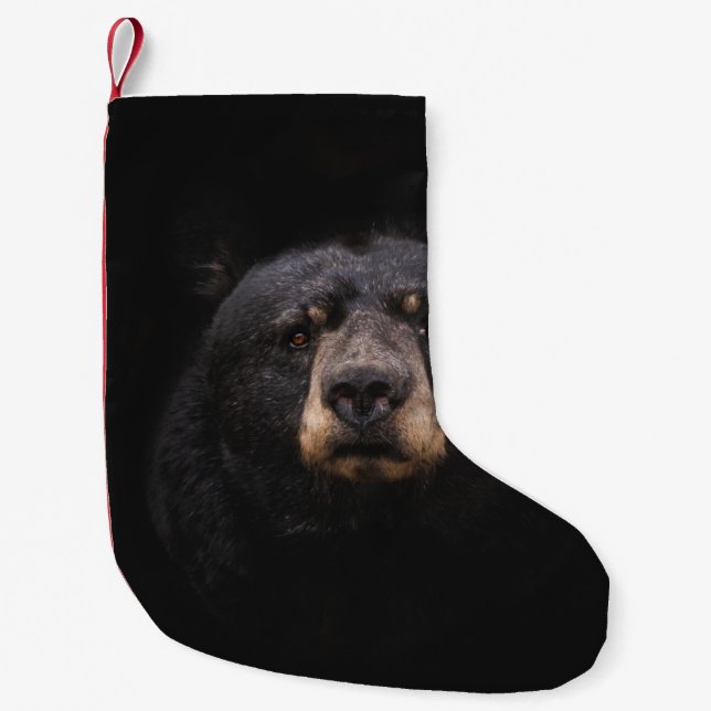 SCHWARZE BEUTEL AUF DER BRANCHE AUS BROWNEN HOLZBA KLEINER WEIHNACHTSSTRUMPF (Vorderseite)