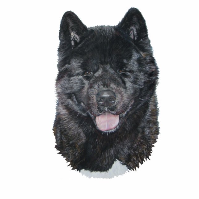 Schwarze Blinde akita Hund Portrait Bildhauermagne Fotoskulptur Magnet (Vorne)