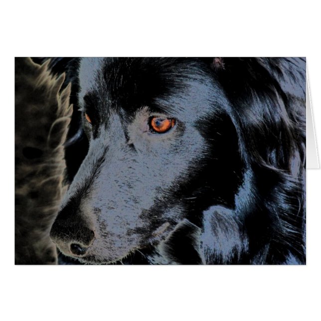 Schwarze Border-Collie-Gesichts-Hundekarte (Vorderseite (Horizontal))
