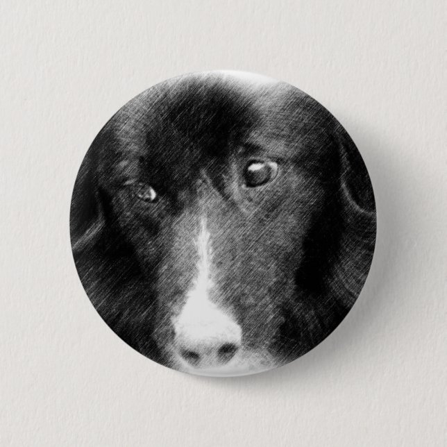 Schwarze Border-Collie-Tierkunst-Knopf Button (Vorderseite)