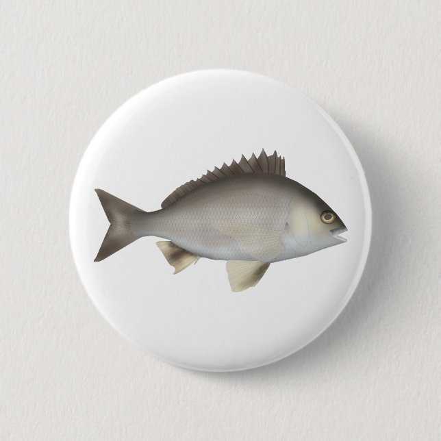 Schwarze Brasse Button (Vorderseite)