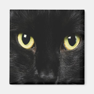 SCHWARZE CAT-Lockermagnete, Kühlschrank Magnet
