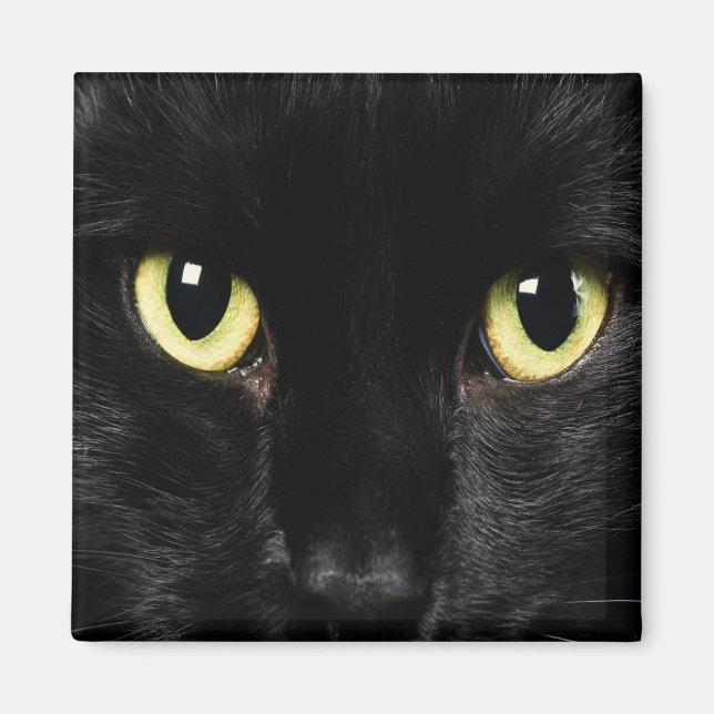 SCHWARZE CAT-Lockermagnete, Kühlschrank Magnet (Vorne)