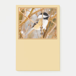 Schwarze Chickade - Original-Foto Post-it Klebezettel