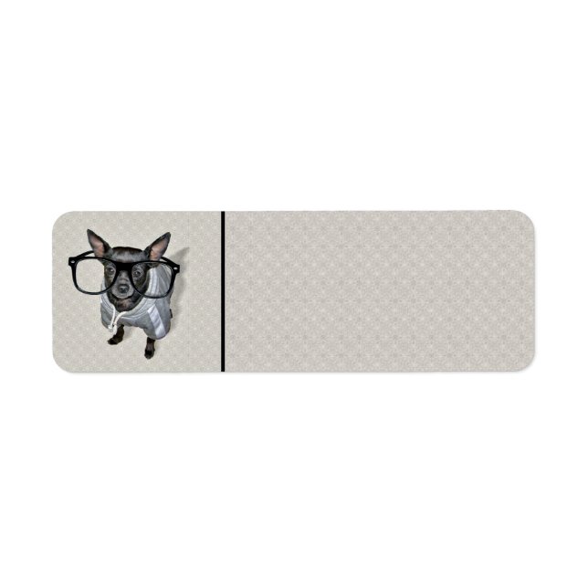 Schwarze Chihuahua mit Brillen-Foto (Vorne)