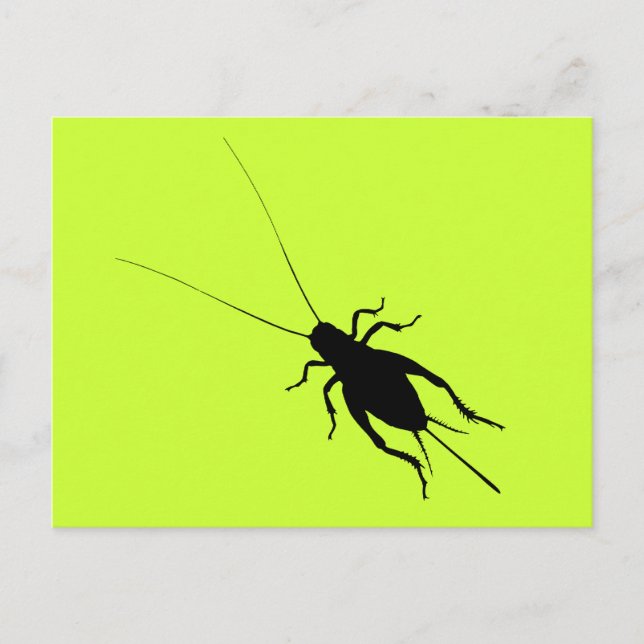 Schwarze Cricket Postkarte (Vorderseite)