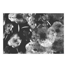 SCHWARZE DAHLIEN FOTODRUCK