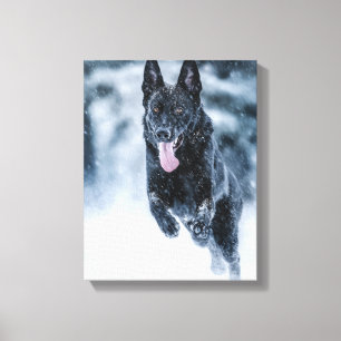 Schwarze Deutsche Schäferhunde im Schnee Bettdecke Leinwanddruck