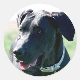 Schwarze Doggeaufkleber Runder Aufkleber